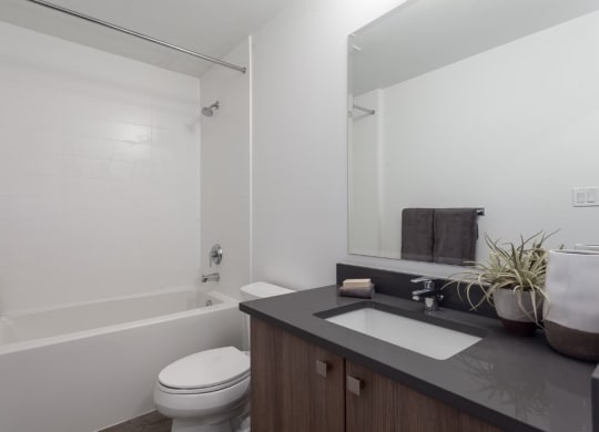 a white bathroom with a sink and a toilet